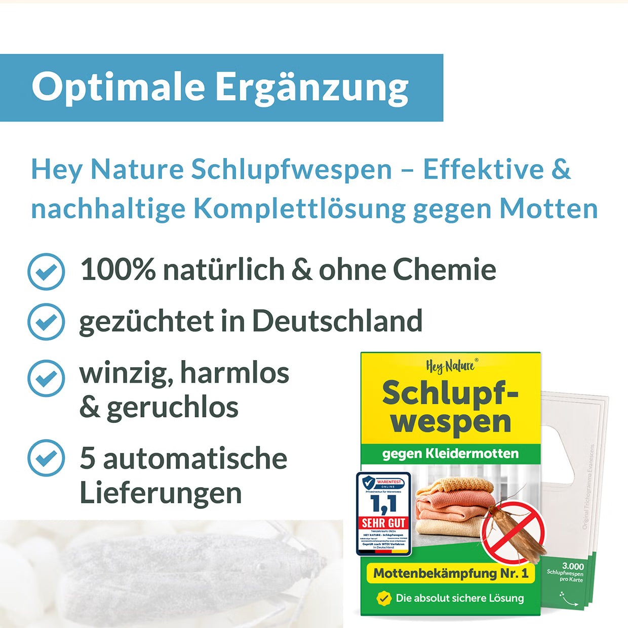 Mottenfalle gegen Kleidermotten