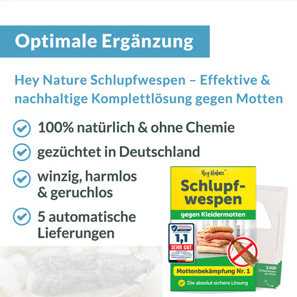 Mottenfalle gegen Kleidermotten