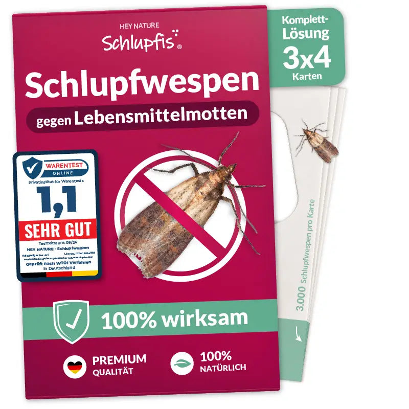 Schlupfwespen gegen Lebensmittelmotten