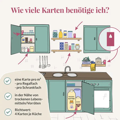 Schlupfwespen gegen Lebensmittelmotten