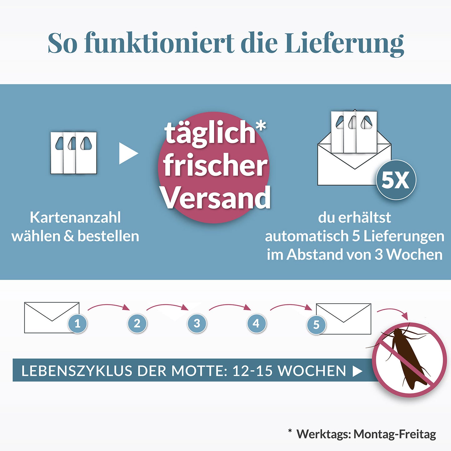 Schlupfwespen gegen Kleidermotten