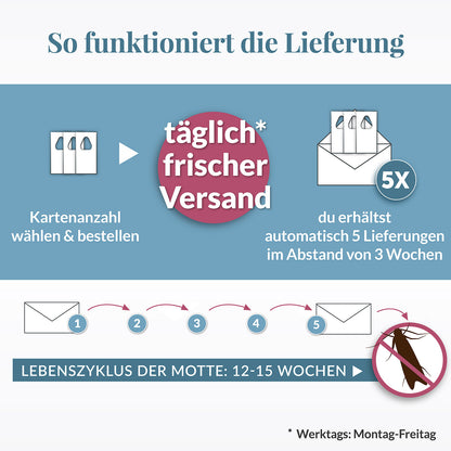 Schlupfwespen gegen Kleidermotten