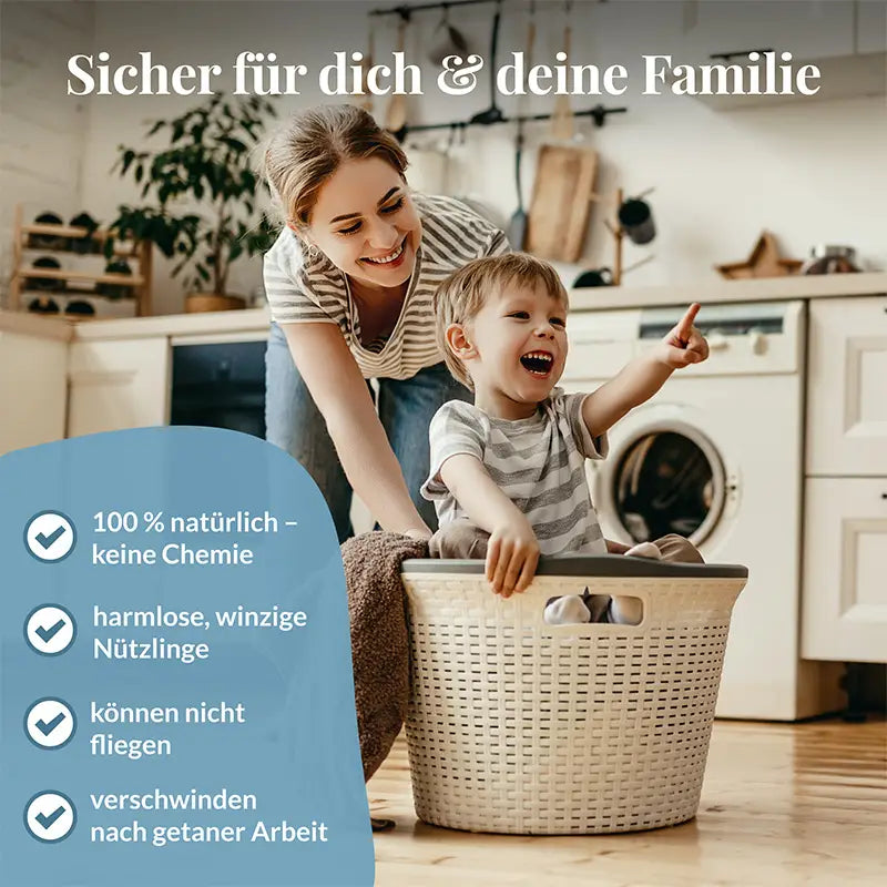 Schlupfwespen gegen Kleidermotten