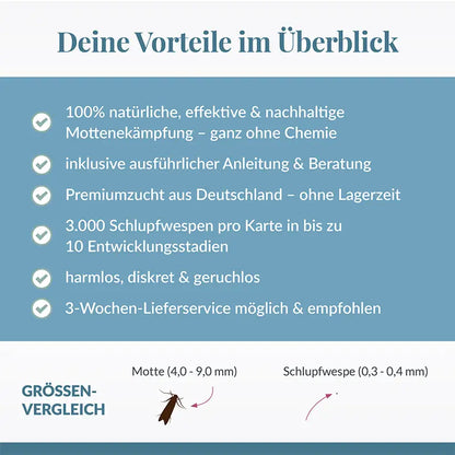 Schlupfwespen gegen Kleidermotten